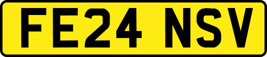 FE24NSV