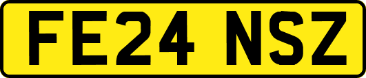 FE24NSZ
