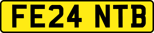 FE24NTB