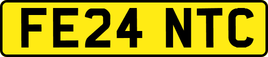 FE24NTC