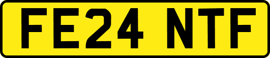 FE24NTF