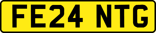 FE24NTG
