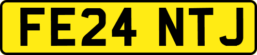 FE24NTJ