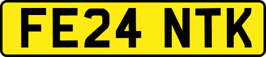 FE24NTK