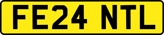 FE24NTL