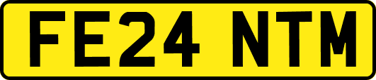 FE24NTM