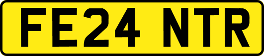 FE24NTR