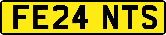FE24NTS