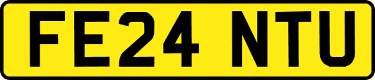FE24NTU