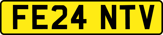 FE24NTV
