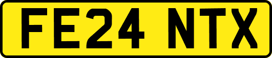 FE24NTX