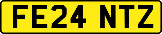 FE24NTZ