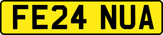 FE24NUA