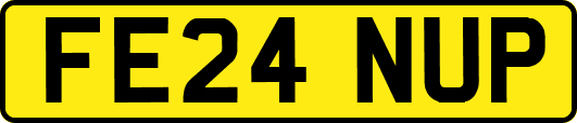 FE24NUP