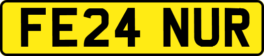 FE24NUR