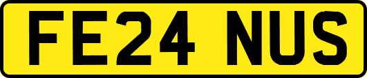 FE24NUS