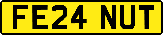 FE24NUT