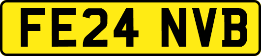 FE24NVB