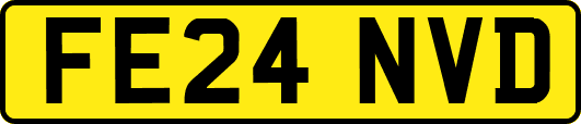 FE24NVD
