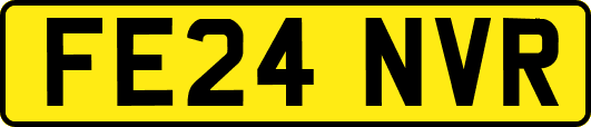 FE24NVR