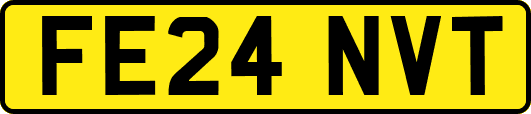 FE24NVT