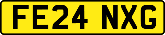 FE24NXG
