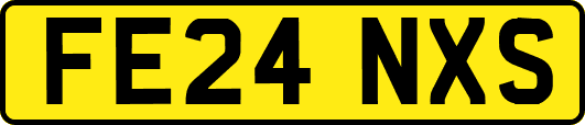FE24NXS