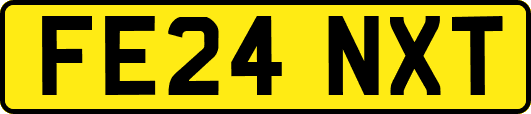 FE24NXT