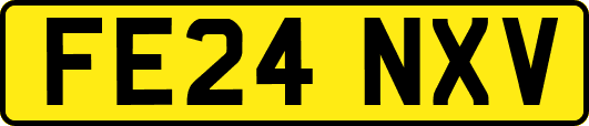 FE24NXV