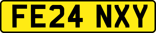 FE24NXY