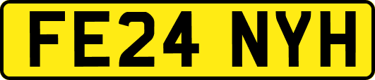 FE24NYH