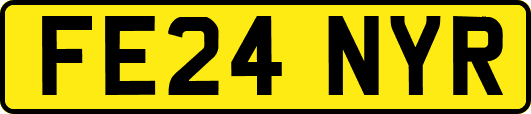 FE24NYR