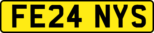 FE24NYS