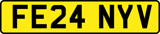 FE24NYV