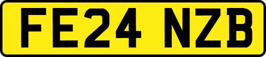 FE24NZB