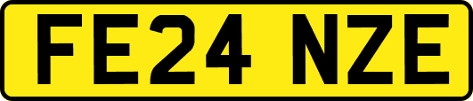 FE24NZE