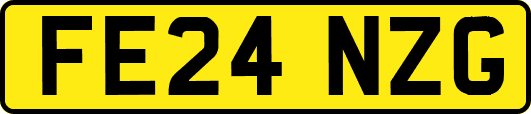 FE24NZG