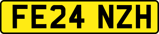 FE24NZH