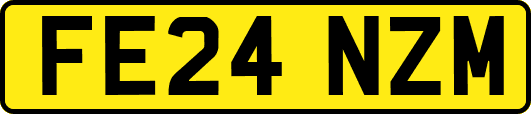 FE24NZM