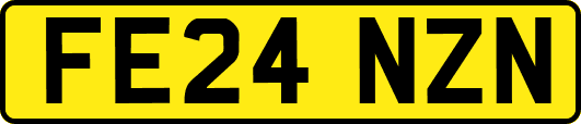 FE24NZN