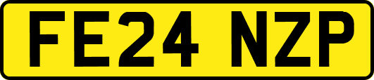 FE24NZP