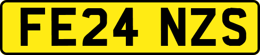 FE24NZS