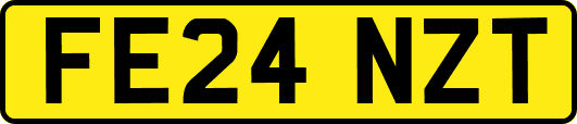 FE24NZT