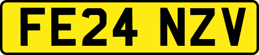 FE24NZV