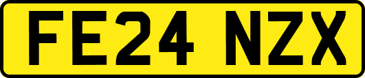 FE24NZX