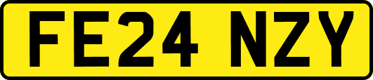 FE24NZY