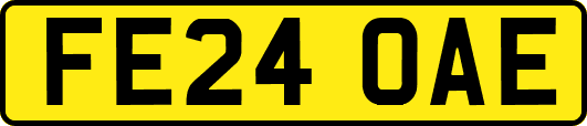 FE24OAE