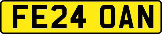 FE24OAN