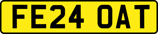 FE24OAT
