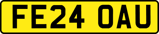 FE24OAU